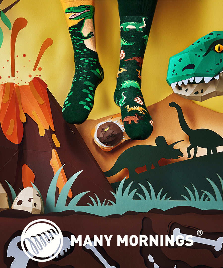 Many Mornings Zokni - The Dinosaurs