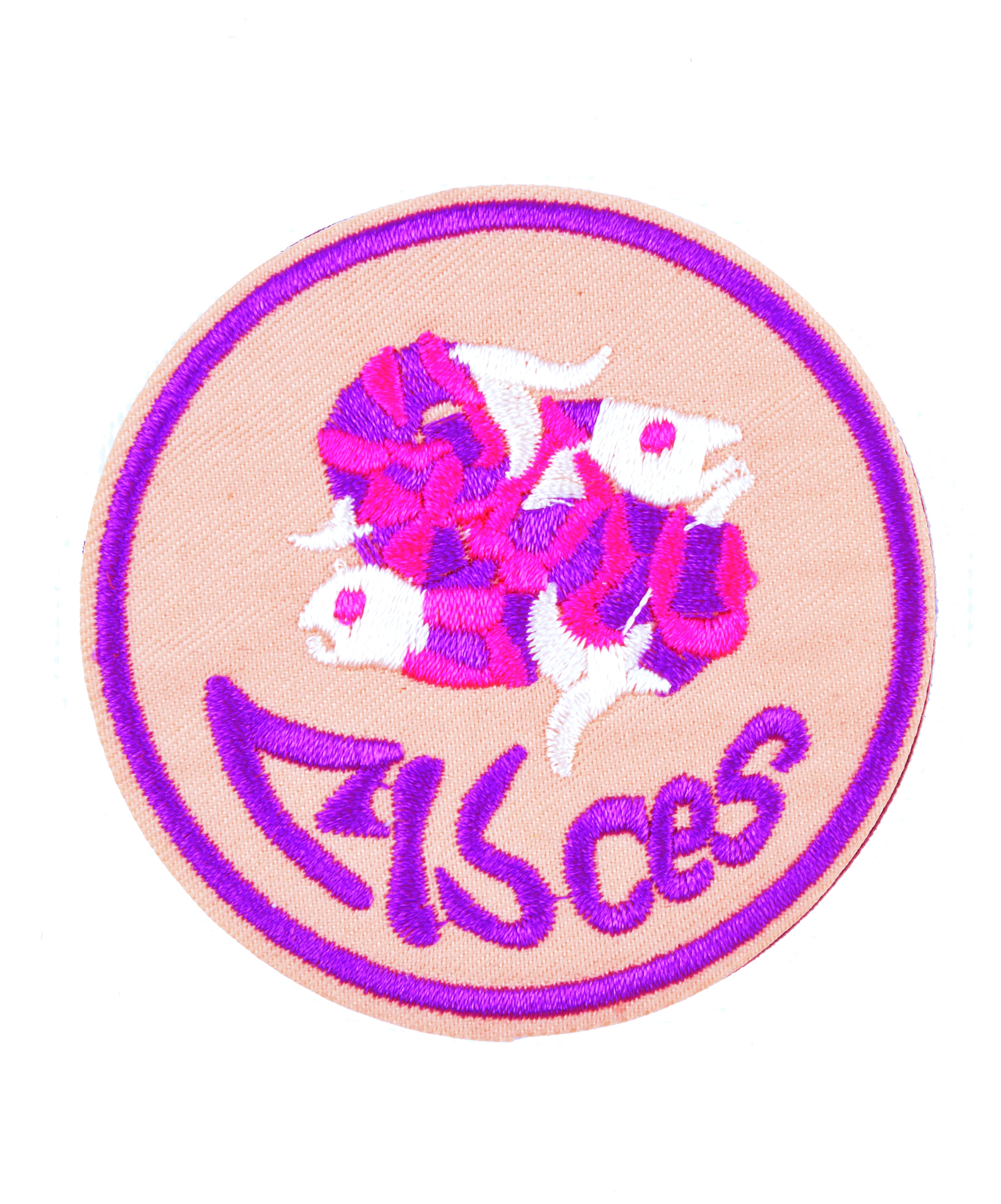 Zoom
