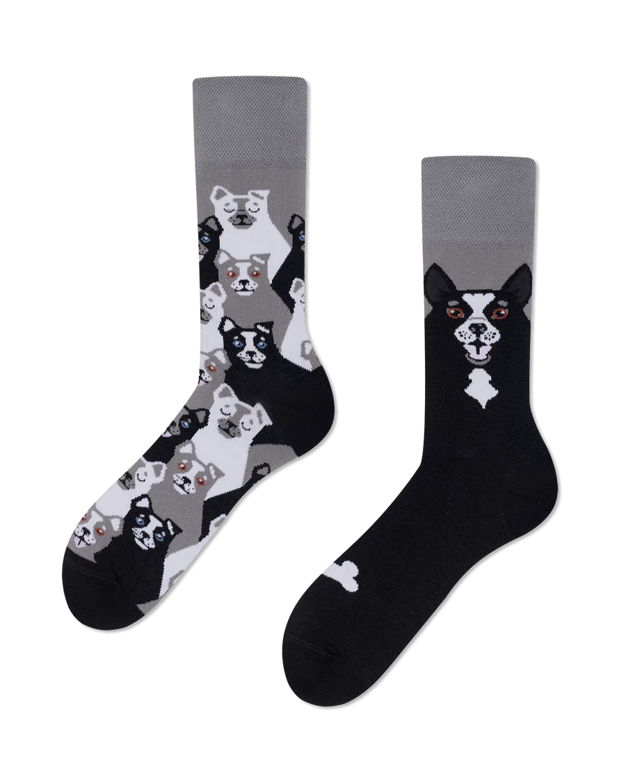 Many Mornings Socks - Black Dog