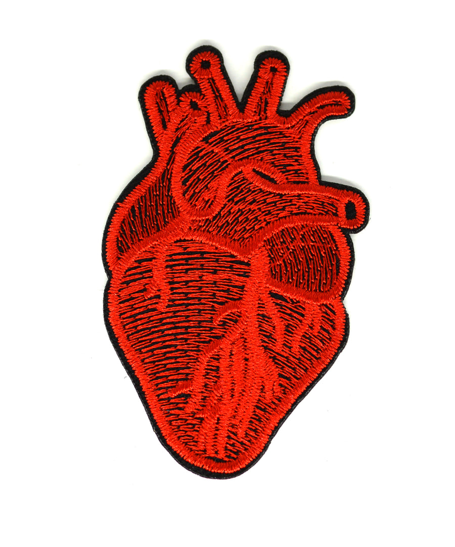 Felvarró - A szív anatómiája