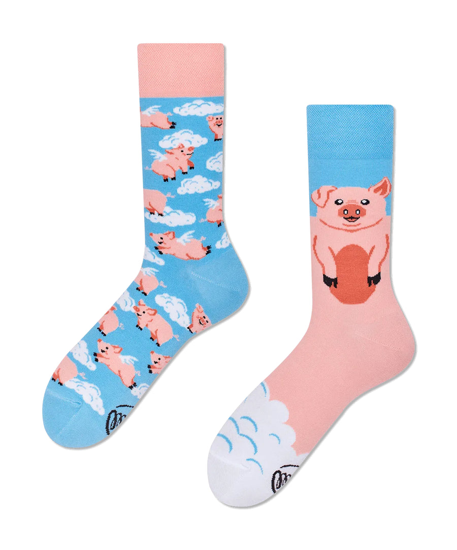Many Mornings Socks - Piggy Dreams