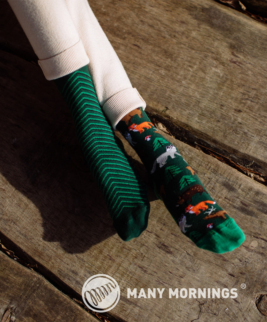 Many Mornings Socks - Scout Memory