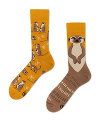 Many Mornings Zokni - The Meerkat Many Mornings Zokni - The Meerkat