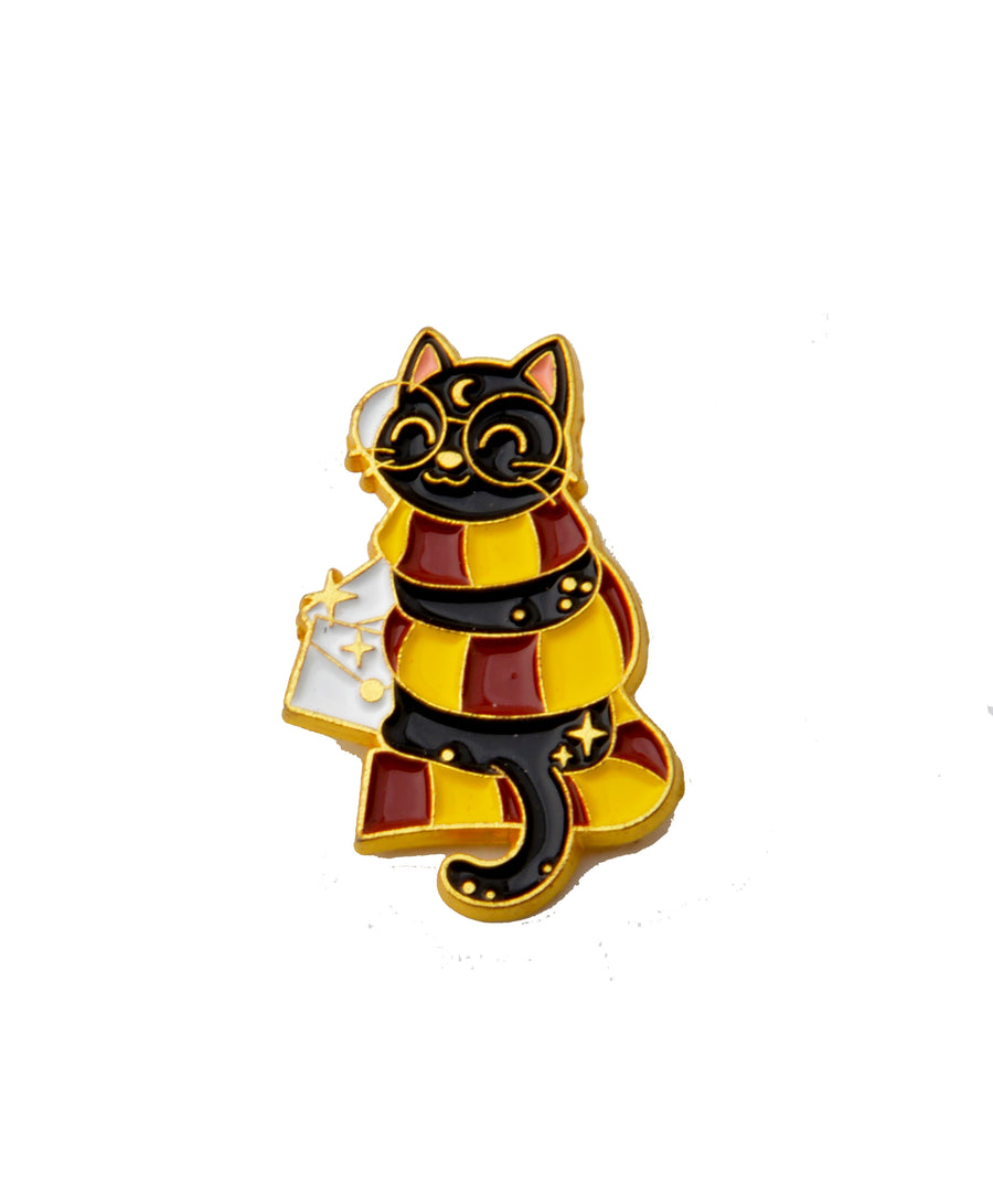 Pin - Cat magician