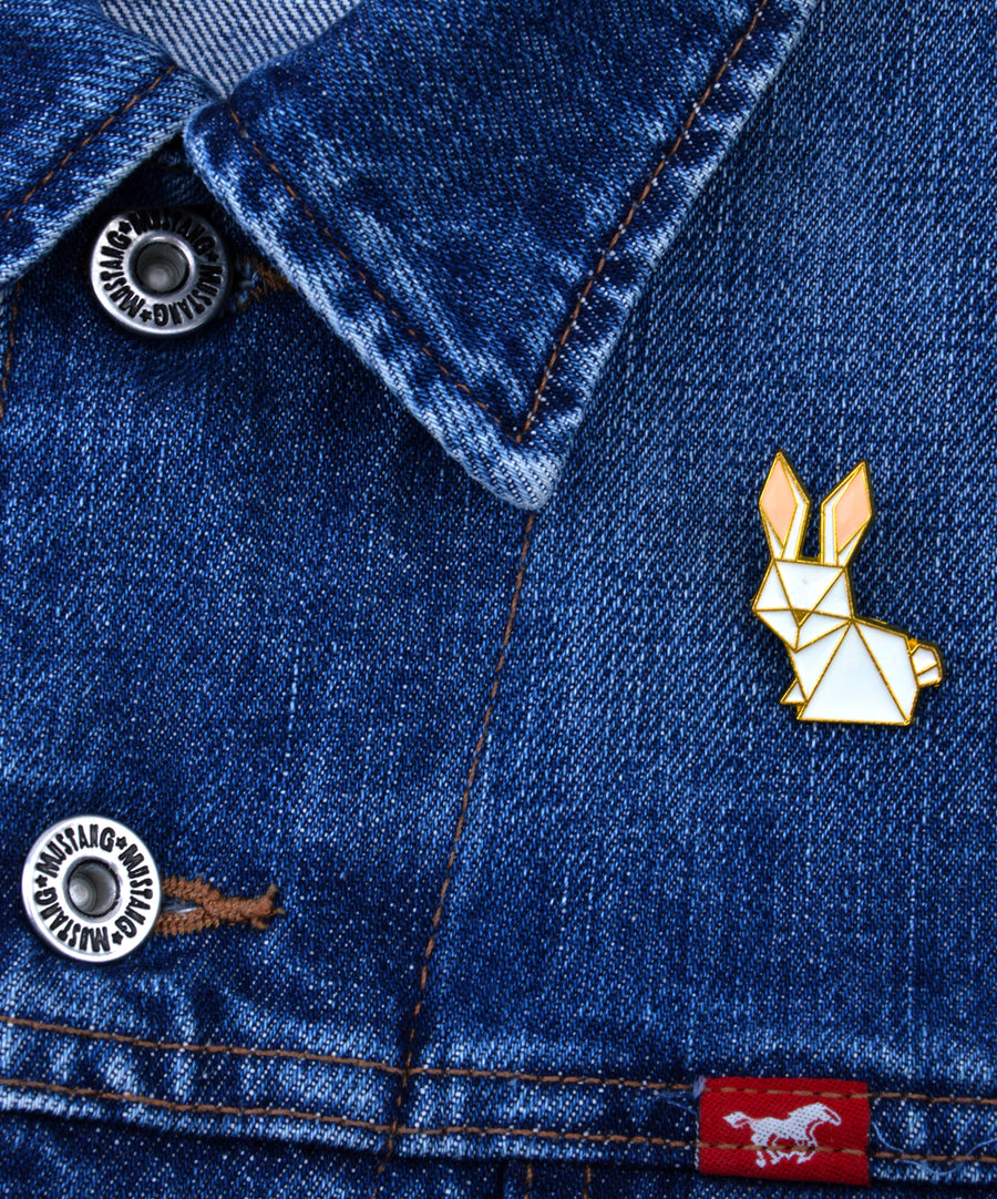 Pin - Geometric bunny